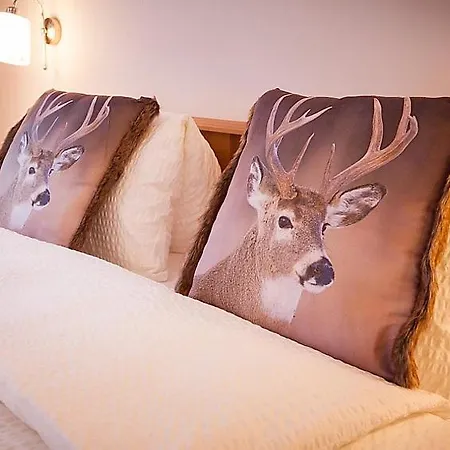 Saas-fee Sleeps 6 Wifi Apartment